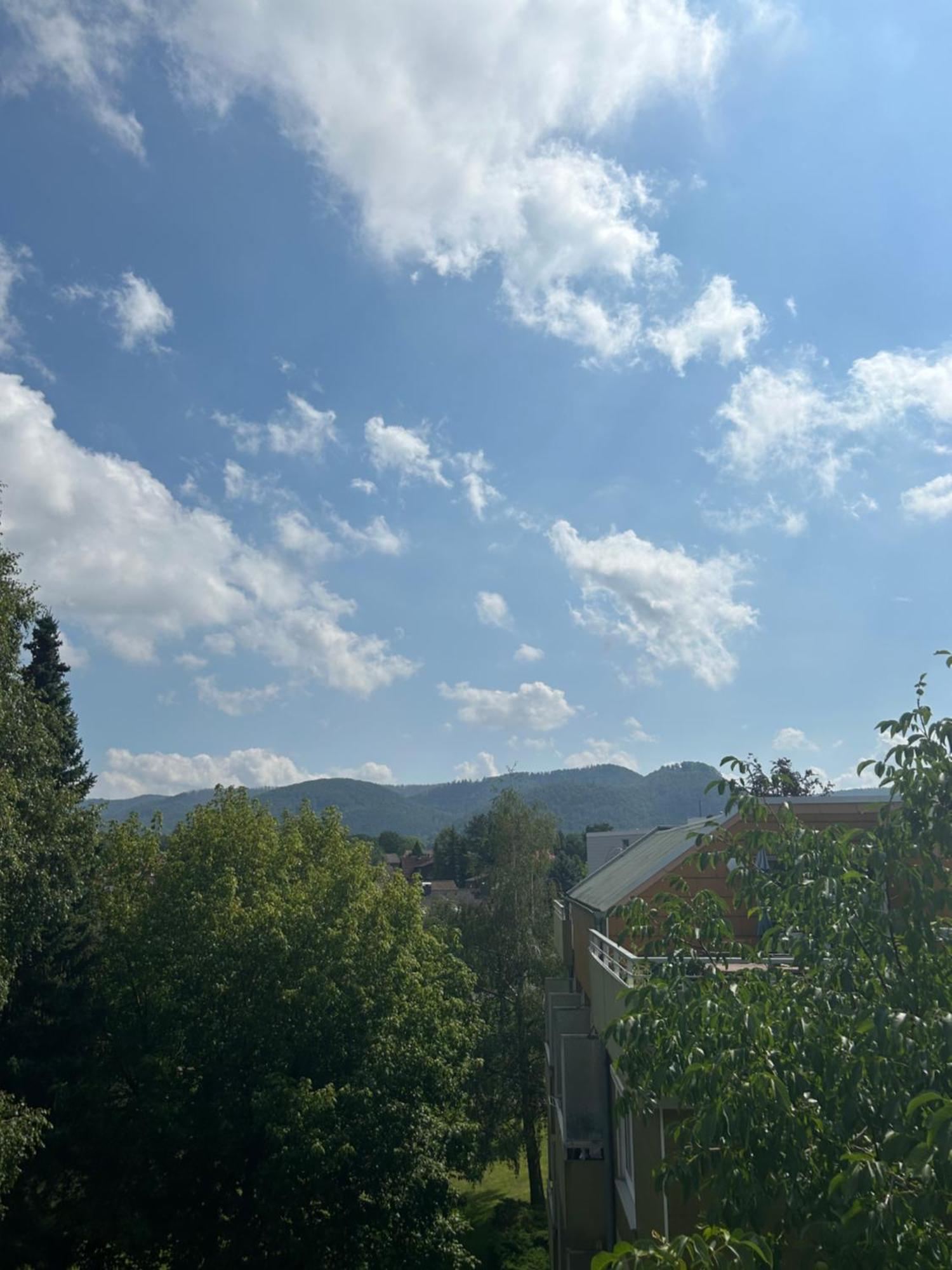 Apartamento Penthouse ,,Kleine Auszeit" Bad Harzburg Exterior foto